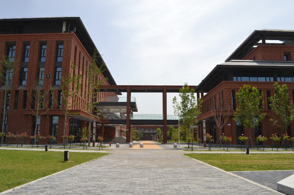 1748169233765005.jpg